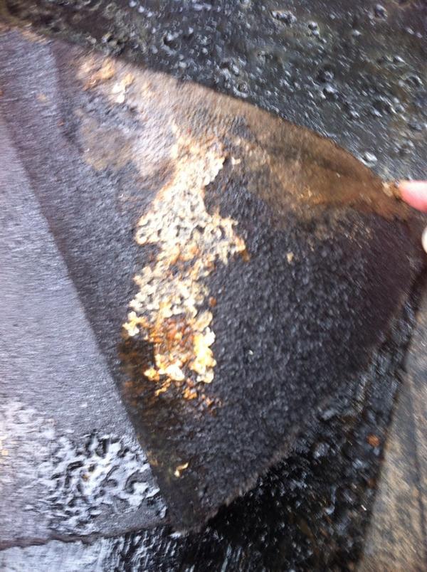 Zelfs buiten op terras tussen de verschillende lagen dakbedekking