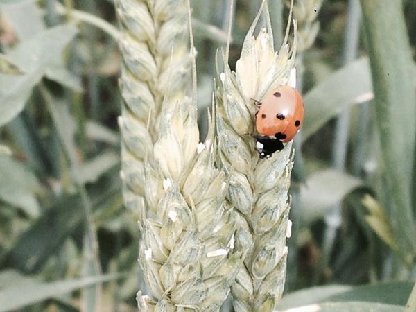 m.ali öz (@malimmalim) on Twitter photo 