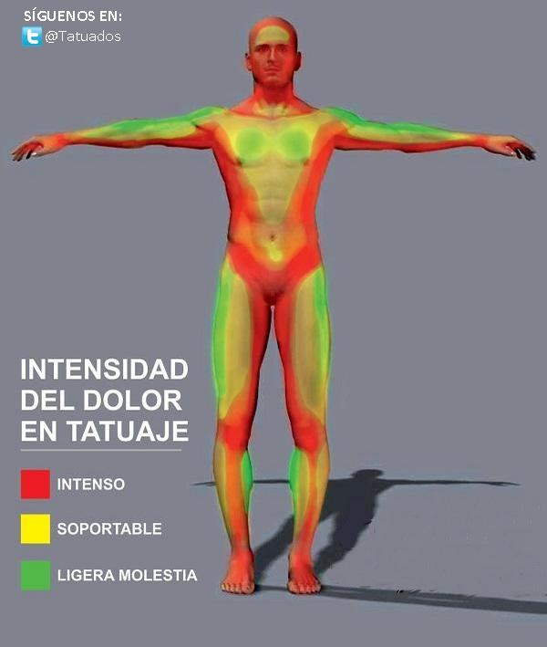 Tatuados's tweet photo. Intensidad del dolor en cada zona del cuerpo, al hacerse un tatuaje. http://t.co/K8AFDQUvvf