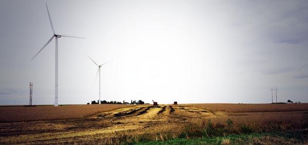 iowa_corn's tweet photo. Great harvest photo by @devinmogler near Rippey and Grand Junction. #IAHarvest14 #IowaAg http://t.co/RTTvQ7gNcf