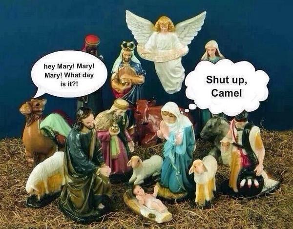 johnthomason4's tweet photo. "@CatholicPrblm: Newly discovered archaeological evidence reveals there was tension at the Nativity http://t.co/X2HjbChco8"
