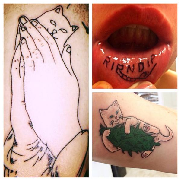 Shout out to these ripndip lifers <a href="/ben/">#1</a>.lewis94, @snatchboy_, and @Mac_Braddy. #lordnermal #nermalnug
