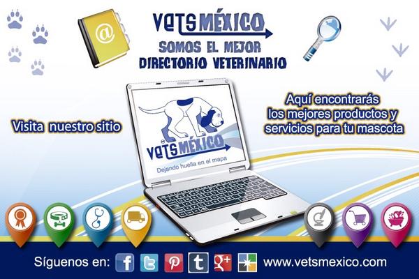VetsMexico tweet picture