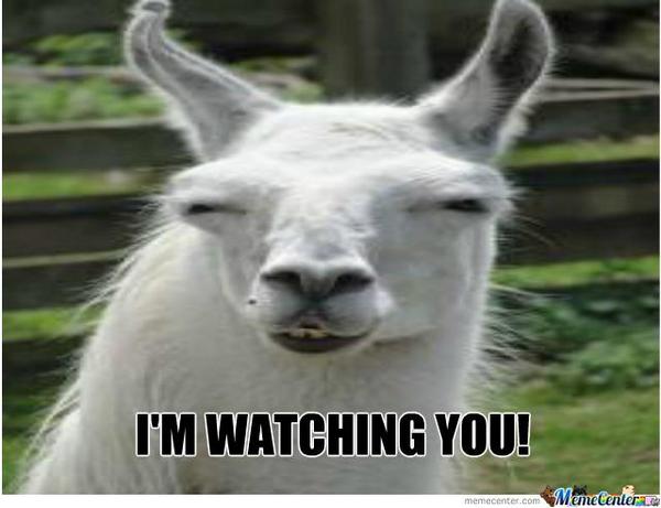ItsYourBroNick's tweet photo. @g_teele http://t.co/GYMz6tsW3C