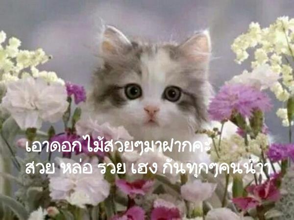 mon657 tweet picture