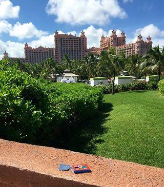 AllanRosier's tweet photo. #ILoveRandomArt #randomactof #acrylic on #canvas #23 placed 10/5/14 #AtlantisParadiseIslandBahamas #randomactsofart http://t.co/rsfpvWEVSF