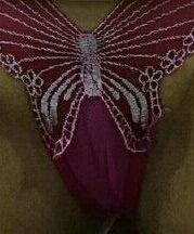 hsam201217's tweet photo. http://t.co/moBGmNDhet