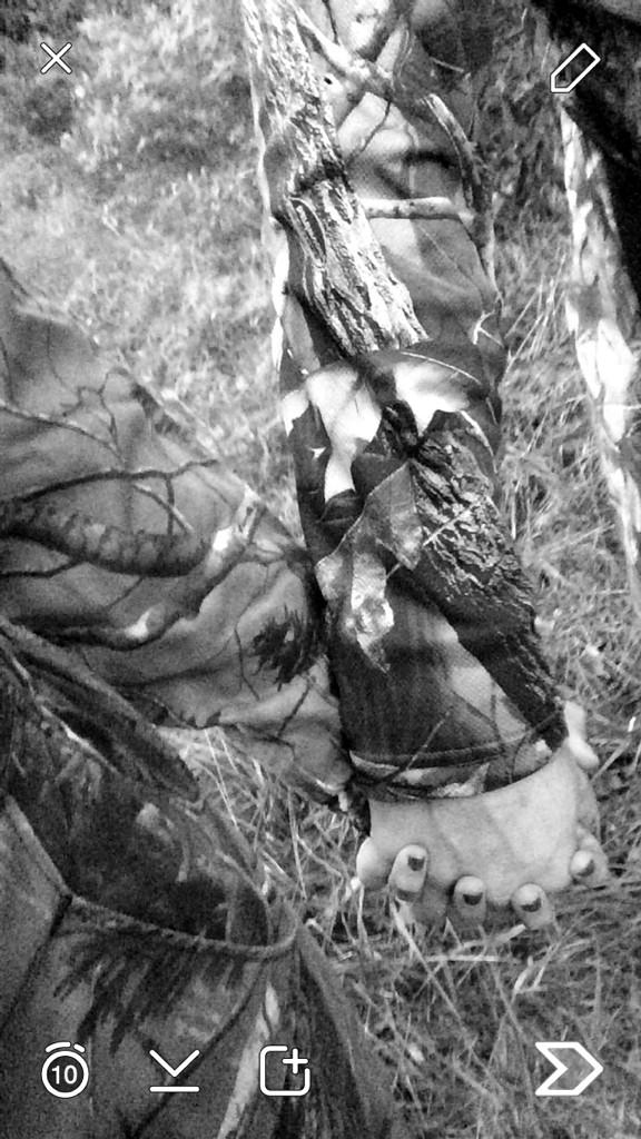 KayleeRae7's tweet photo. My hunting buddy 😊 @hankinskaleb http://t.co/08g96nBtX2