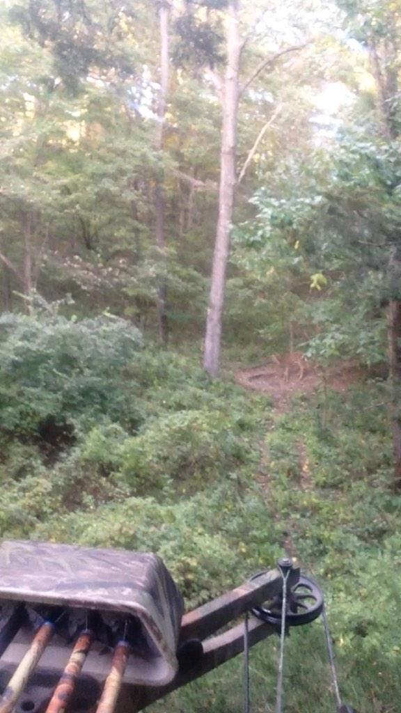 gamecamerapics's tweet photo. Button buck I saw hunting today. Anybody get anything today? http://t.co/JqltUkaJKd
