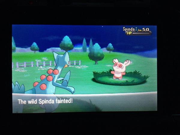 ThatVocal's tweet image. Finished EV training my Sceptile it's just so damn awesome ! 5IV Shiny Kalos breed 😁