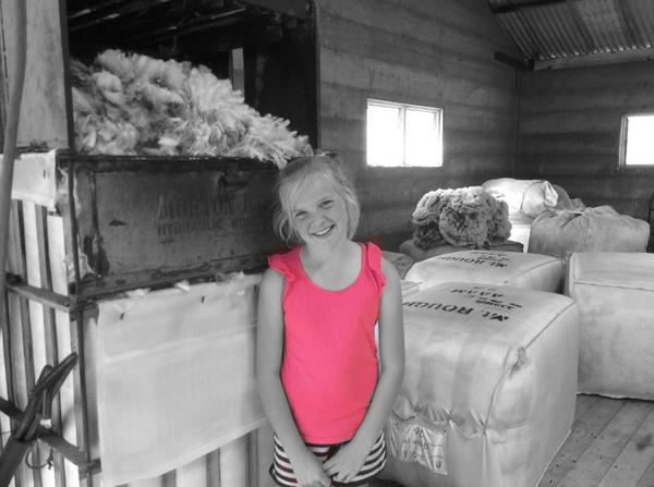andyhann1's tweet photo. She certainly adds colour to the shed #schoolholidayfun #neighbour #shearingshedaddict #shearing14 @natroberts21 http://t.co/cnB6QEYdeJ