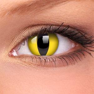 AltavisionVdR's tweet photo. http://t.co/v8aIj7tfJe