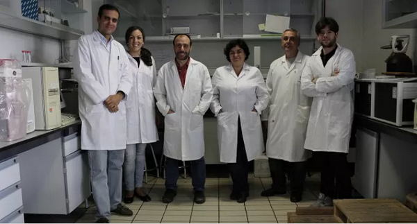granadadigital's tweet photo. Científicos granadinos buscan un fármaco natural contra el Ébola. @MEDINADiscovery @CanalUGR http://t.co/SFJ9b8mYxr http://t.co/JTaoC1Kib8