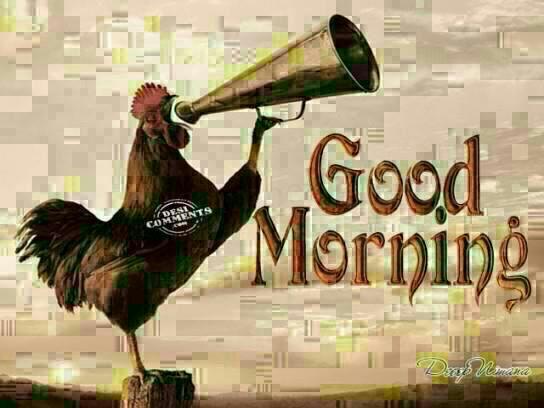 anne gatheru (@annegatheru) on Twitter photo 