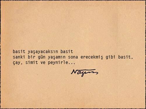 Acaba idealizm bumudur...