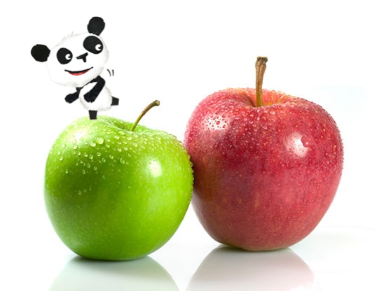 Panda_Drinks's tweet photo. Did you know there are over 1,000 different kinds of apples? Melvin loves a Granny Smith #PandaFoodFact http://t.co/PFLN6oVqiT