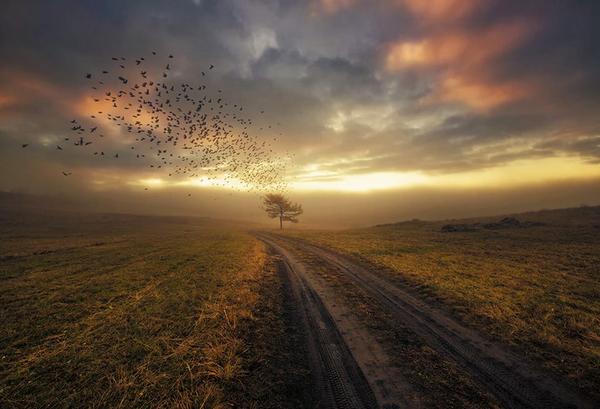 Gabriele_Corno tweet picture