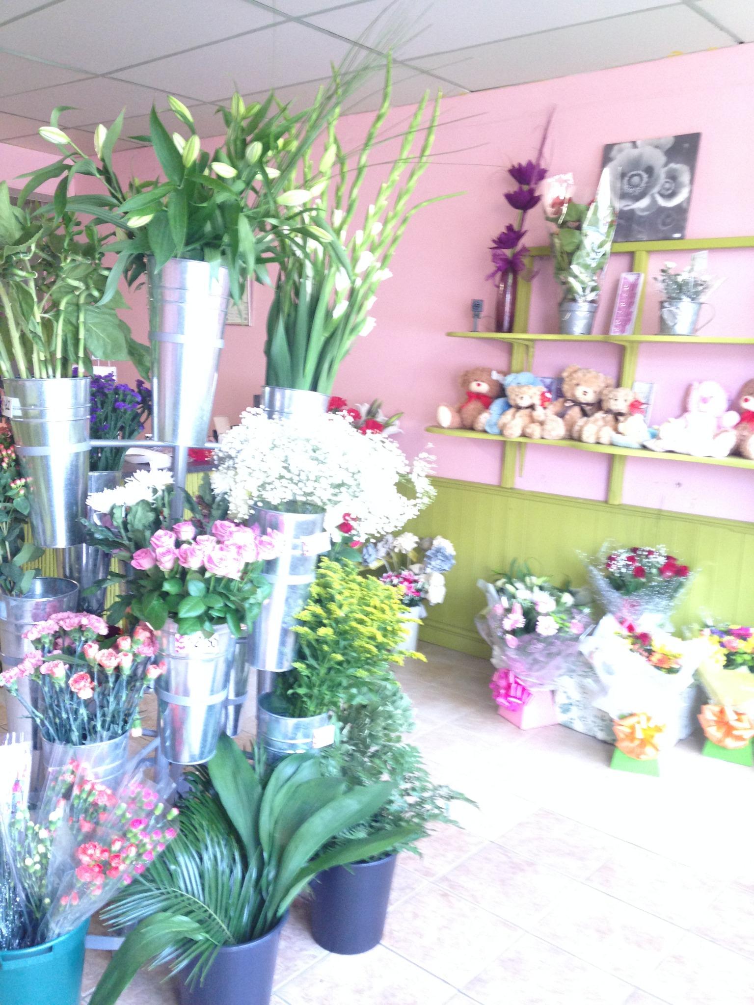 The Flower Bed on Twitter "We are a new florist open in Bournville