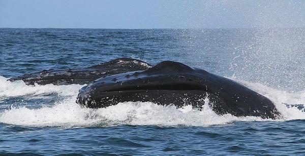 Byron Bay highlights!!!!!!!!!