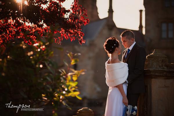 Thompson Photography tweet media