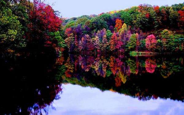 Gabriele_Corno tweet picture