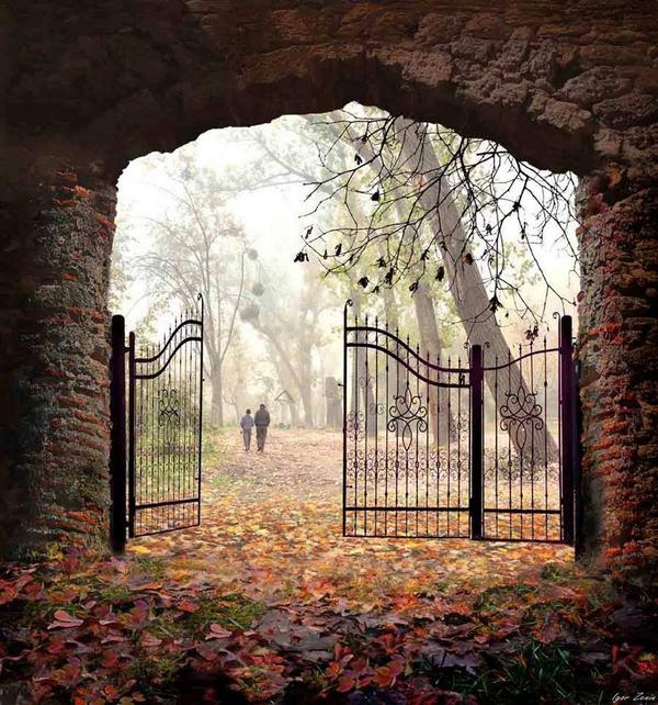 Gabriele_Corno tweet picture