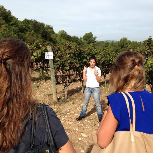 Visitando las viñas de #PinotNoir en <a href="/WineCanBonastre/">Can Bonastre Winery</a> con los alumnos de <a href="/TurismoStIgnasi/">Turismo Sant Ignasi</a> #wineys #winegadgets