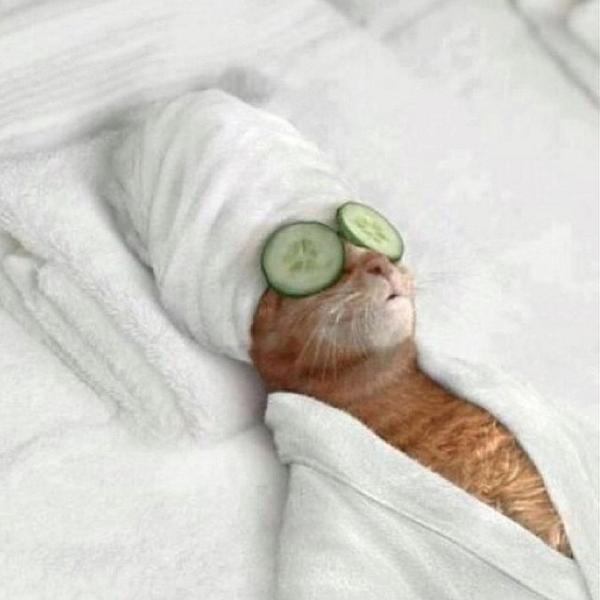 sunriseon7's tweet photo. It's been a long day! RT if you agree… #sun7 http://t.co/xdh1c7CAoe