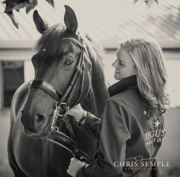 Pegus Horse Feed tweet media