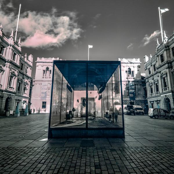 PhotoInfraRed tweet picture