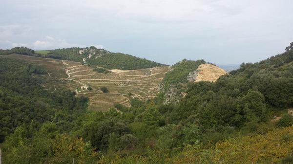 CamillaBowler's tweet image. And this is where it's from