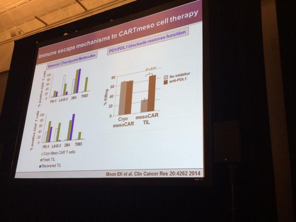 cancerdocNYC's tweet photo. Best CART-mesothelin resp in panc CA-stable dz. Evidence points to hypofunction T-cells. ?Overcome w/ PD1. #CRI2014 http://t.co/O5dRy97eIx