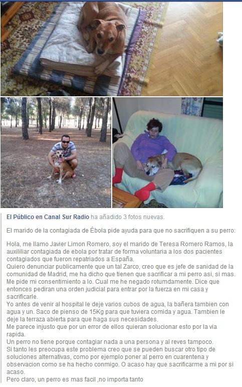 Como Aplicar La Eutanasia A Un Perro Consumer
