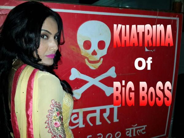 NeelMotwaniNMN's tweet photo. Our Sherni Of Beintehaa and Khatrina Of BIG BOSS @iamkamyapunjabi @TheKaranPatel @ColorsTV http://t.co/3pSZRkbTH6