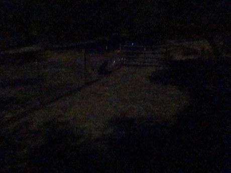 TexasSentinal's tweet image. Murphys In ... j.mp/1y1qFPz #AlbertEinstein #PhotosBlog #PostOffice #RamblinMan