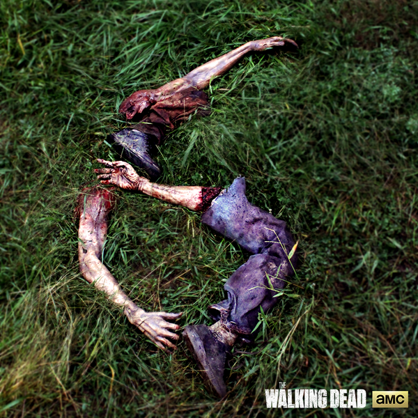 The Walking Dead (@walkingdead_amc) on Twitter photo There’s more Dead ahead! <a href="/AMC_TV/">AMC TV</a> has renewed #TheWalkingDead for a sixth season! There’s more Dead ahead! <a href="/AMC_TV/">AMC TV</a> has renewed #TheWalkingDead for a sixth season!