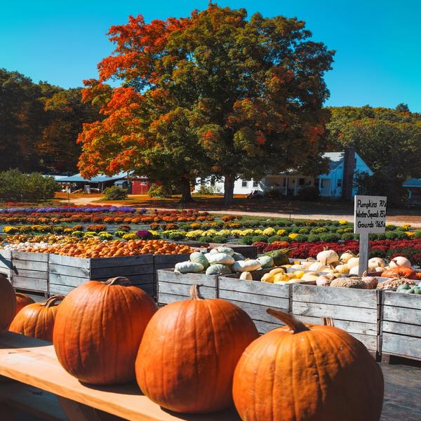 ▼ Kiel James Patrick tweet media