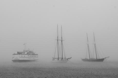 Steve Myrick Photo show, this weekend. Reception 6pm Oct. 10. 
on.fb.me/1yJHqA0 #marthasvineyard
Please RT