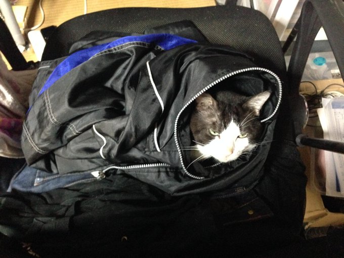 ≡_(ゝヽε:)_ 最近朝超寒くなーい? 