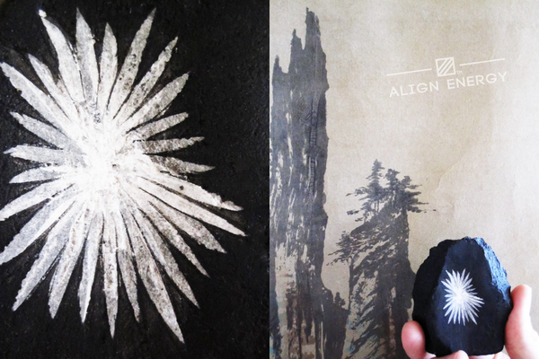 alignenergy's tweet photo. "A flower blooms for all to see . . ." /// Find this Chrysanthemum Stone at this Saturday's #ALIGNENERGY #GEMSHOW. http://t.co/pKYLNuF3f9