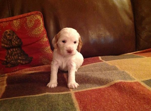 She's going to be mine soon, I loves her I do.