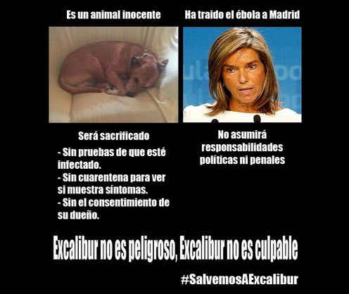 DogsUnion tweet picture