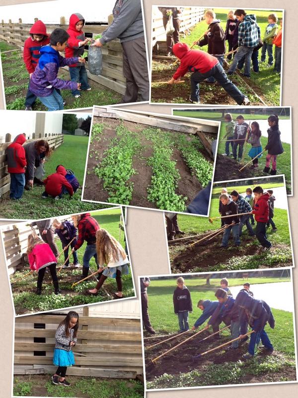 mrsfultoncp3's tweet photo. Final day with our garden! #StrieterStudents #PlantProgram #PurdueExtension http://t.co/cDOev39LZ0 http://t.co/DuXBH4XK0u
