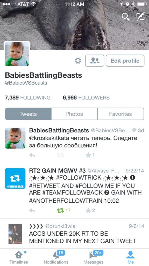 BabiesBattlingBeasts tweet media