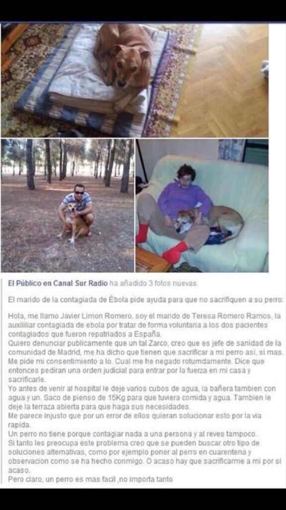 Tamara Gorro tweet media