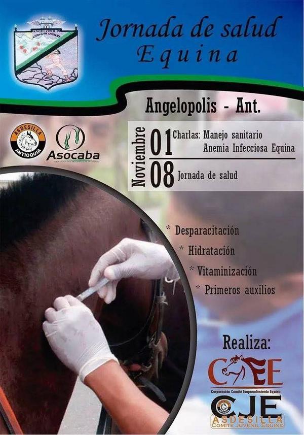 ASDESILLA's tweet photo. Los invitamos a participar de este evento realizado por nuestro Comité Juvenil Equino y el de @asocaba_ant http://t.co/Dg8gT5hzIE