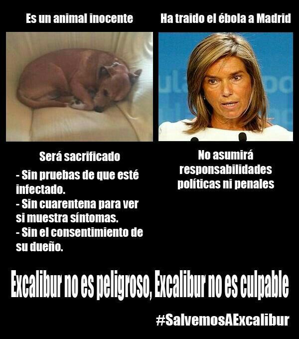 Rezakhan20's tweet photo. #SalvemosAExcalibur http://t.co/5YRt21GukD