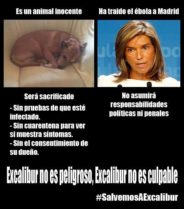 HistoryFotos's tweet photo. El perro no es peligroso, la peligrosa es ella... #SalvemosAExcalibur.
#AnaMatoDimisión. #Ebola. http://t.co/yPrf7Vu5fQ