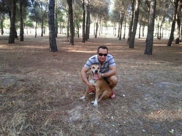 rennoaltocampoo's tweet photo. El dueño del 'perro del ébola' cede la custodia del animal a un veterinario pra evitarsumuerte
http://t.co/GENvP7AmlI http://t.co/MSosJtKdYy