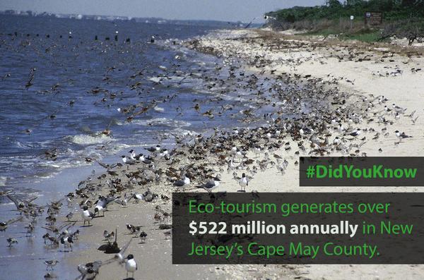 New Jersey coastal projects help restore wildlife habitats, provide economic opportunities on.doi.gov/ZQd9jV